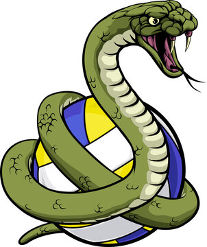 Snake Volleyball Ball Mascot