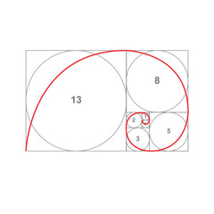 Golden ratio frame on white background, vector. Fibonacci circles, vector illustration.