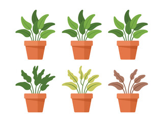 Collection of six potted houseplants with green and reddish leaves