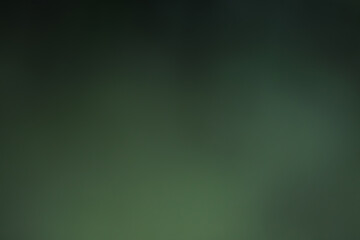 abstract blur and defocused, natural green bokeh background, concept of plant in forest or garden