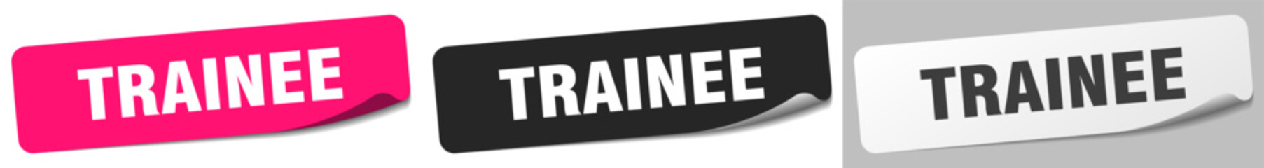 Obraz premium trainee sticker. trainee sticker set on white background