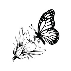 Butterfly on Flower – Elegant Black and White Vector Illustration