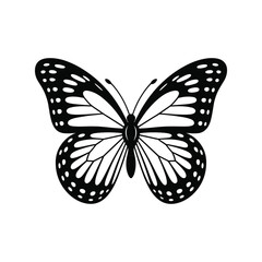 Detailed Black Butterfly Silhouette Vector Illustration