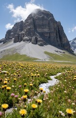 alpine meadow with flowers