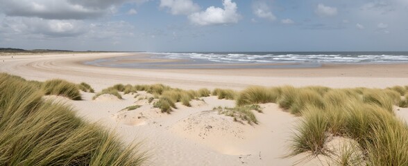 sand dunes and grass