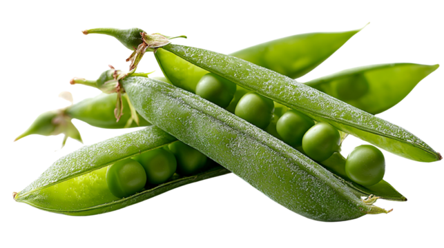 Healthy Food Ingredients fresh pea pods, natural green texture enriches Healthy Food Ingredients, plant-based fiber for Healthy Food, Isolated on transparent background, PNG die-cut 
