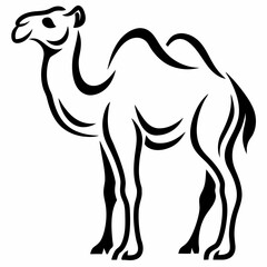 Camel silhouette on white background