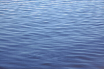 Naklejka premium Rippling surface of a calm river captured on a sunny day