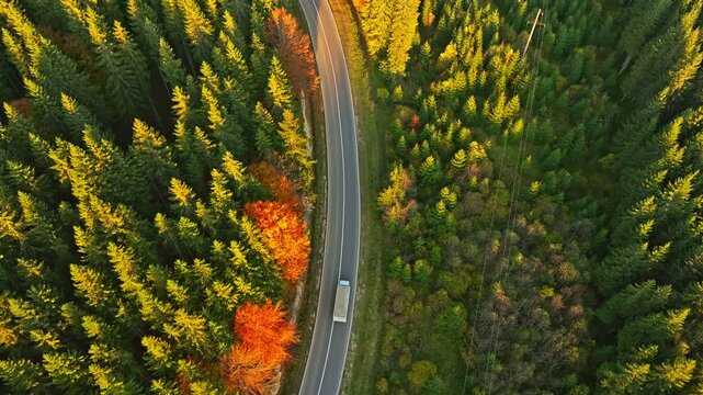 Autumn mountains forest travel nature view beautiful drone