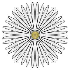 Obraz premium vector illustration of a flower