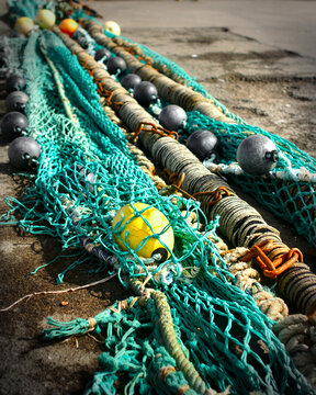 Trawl net