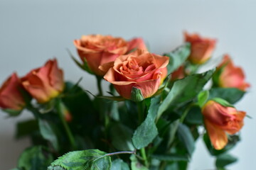 a bouquet of red roses in a vase