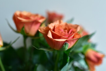 a bouquet of red roses in a vase