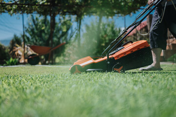 Fototapete bei efototapeten.de bestellen   