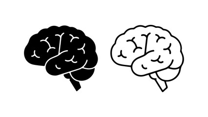 Brain anatomy outline with transparent background