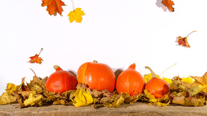 Maple foliage autumn fall halloween thansgiving erntedank harvest template banner - frame made of...