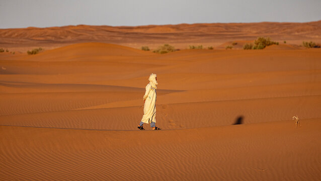 Wandering the Sahara