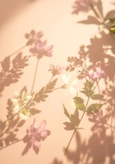 Delicate floral arrangement with light and shadow plays on pale backdrop