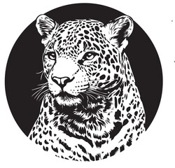 leopard on black background