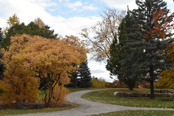 Autumn, the most colorful and romantic month of the year © Ruben