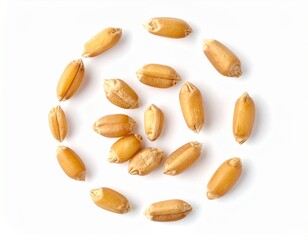 Obraz premium wheat grains isolated on white background. top view