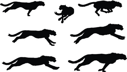 Cheetah running silhouette sequence showing fast motion, wild animal sprint, dynamic stride, speed biomechanics, African wildlife vector illustration art