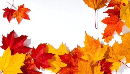Vibrant autumn leaves border on a white background