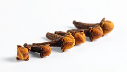 Fototapeta premium dry cloves on white background 