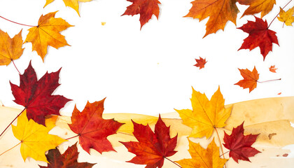 Vibrant autumn maple leaves border on white background