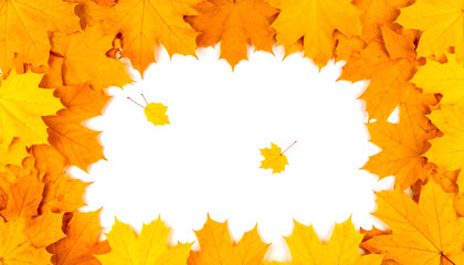Autumn leaves frame a blank white space for text or design