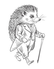 Hedgehog in a suit for a walk. Vector illustration