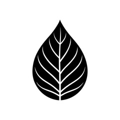 Simple black leaf with white veins on transparent background silhouette
