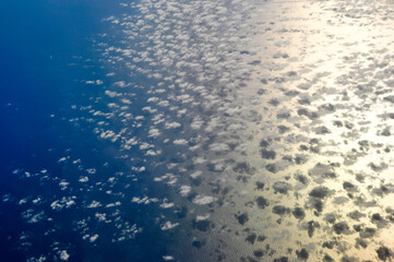 Blue Sky White Clouds Scenic