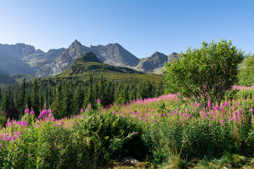 Góry Tatry - Polska © robert6666
