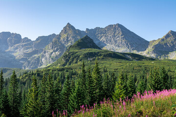 Góry Tatry - Polska © robert6666