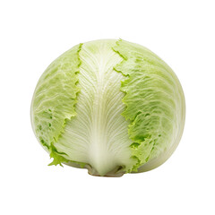 Crisp Iceberg Lettuce Head Isolated on Background vegetable green