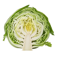 Fototapeta premium Cross section of a fresh green cabbage with layered leaves and core vegetable food
