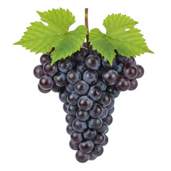 Fototapeta premium Dark purple grapes with green leaves on background fruit food