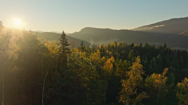 Aerial view colorful forest mountain travel scenic morning summer sun