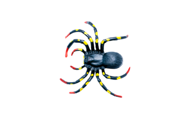 A plastic toy spider with a black body and legs marked with yellow dots and red tips. Isolated on a transparent background, perfect for Halloween, prank, or fear concepts. Top view