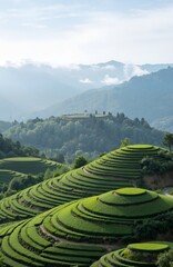 rice terraces in bali