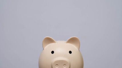 Minimal piggy bank head on plain background, symbolizing personal finance, money saving, investment planning, and financial literacy in a clean and modern visual style.