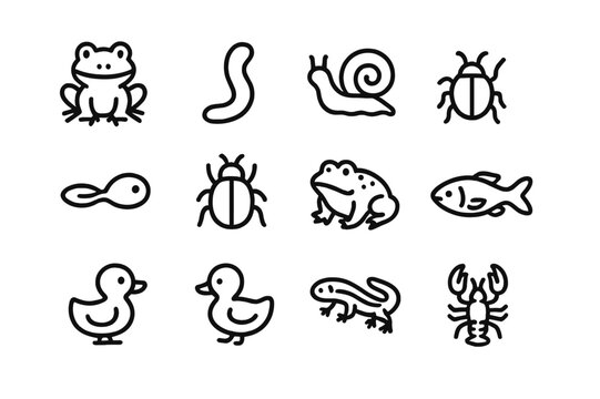 Mud Creature Icons. Mud creatures. Line icon set of Mud creatures: frog, worm, snail, insect, tadpole, bug, toad, fish, duckling, beetle, salamander, crayfish.