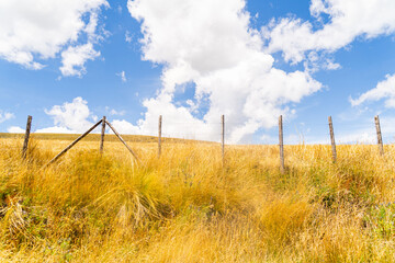 A clear blue sky adorned with fluffy white clouds.