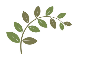 Fototapeta premium A delicate branch with green leaves arches gracefully against a white background.