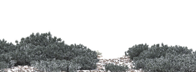 dry grass in winter on a transparent background