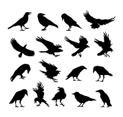 collection of crow and raven silhouettes in various poses