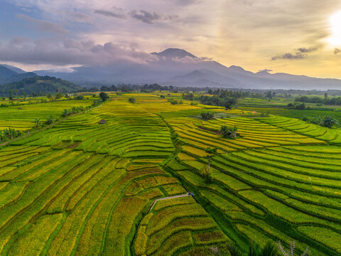 Beautiful morning view indonesia Panorama Landscape paddy fields with beauty color and sky natural light