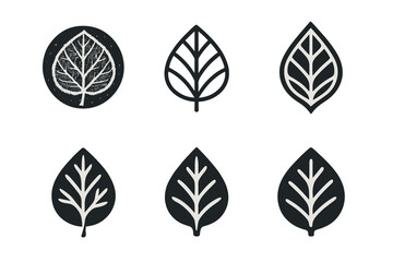 Nature Texture Logos. Close-up shots of textures in nature (snow, sand, etc.). Set Logo of Close-up shots of textures in nature (snow, sand, etc.): Frosted