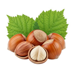Group of whole hazelnuts and one cracked open with green leaves food ingredient